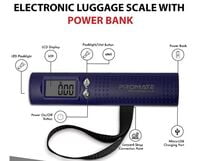 Handheld Digital Weighing Scale