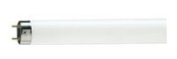 Tube Day Light 4Ft 36W Philips (Pack of 25pcs)