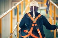 FULL BODY HARNESS UB 105 PLUS VAULTEX FULL BODY HARNESS UB 105 PLUS VAULTEX