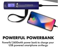 Handheld Digital Weighing Scale