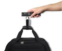 Handheld Digital Weighing Scale